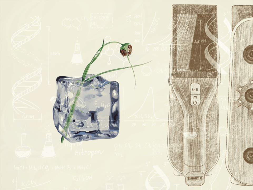 Ice_s.png